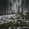 Barski stol Vega Modern
